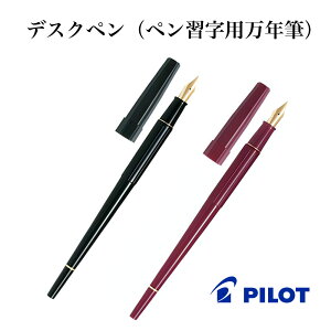 pCbg NM fXNy yKpNM P-DPP-1S-B