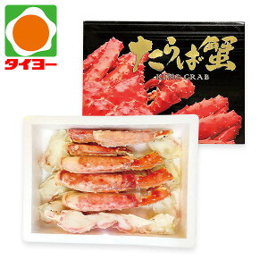 Ε Mtg  yB-11z VAY {CΊIϔ Ⓚ yz Ε v[g Hו 