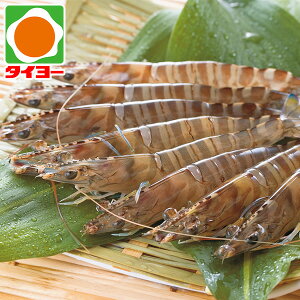 Ε Mtg  yB-08z ԊCV{@Y ԊCV yz Ε v[g Hו 