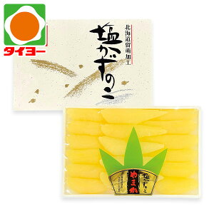 Ε Mtg  yB-46z ܂ ̎q ① yz Ε v[g Hו 