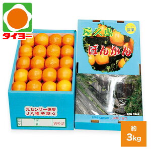 Ε Mtg  yC-06z vY ۂ񂩂@ZT[I(x11.0xȏE_x1.0xȉ) yz Ε v[g Hו 