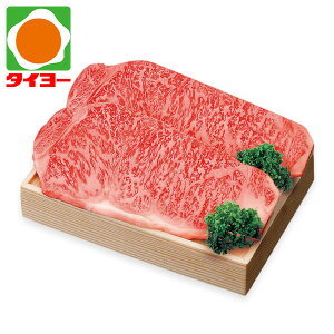 Ε Mtg  yA-01z Y јaT[CXe[L Ⓚ yz Ε v[g Hו 