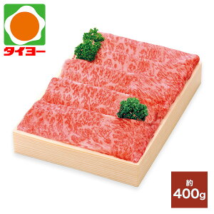 Ε Mtg  yA-06z Y јa[XXCXĂp Ⓚ yz Ε v[g Hו 