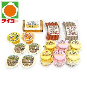 Ε Mtg  yE-74z q qA\[gZbg ① yz Ε v[g Hו 