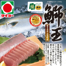 楽天市場 ブリ フィの通販