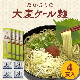 ＼在庫限り！1,000円ぽっきり／たいようの大麦ケール麺 お試しセット 大陽製粉×キューサイコラボ商品 ケールと大麦配合で食物繊維が摂れる即席めん 麺とあごだしスープ各2袋入り 1000円 ポッキリ 送料無料 ラーメン