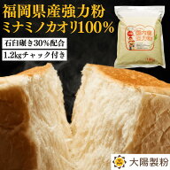 ★福岡県産ミナミノカオリ100％ 1.2kg 大陽製粉 あなたもパン屋さん！ 家庭用 小麦粉 強力粉 九州産 国産…