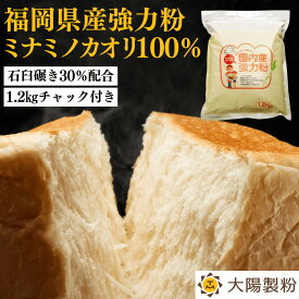 ★福岡県産ミナミノカオリ100％ 1.2kg 大陽製粉 あなたもパン屋さん！ 家庭用 小麦粉 強力粉 九州産 国産 国内産 パン用粉 強力粉 石臼 食パン バゲット ロールパン ピザ 製パン ホームベーカリー チャック付き袋 送料無料