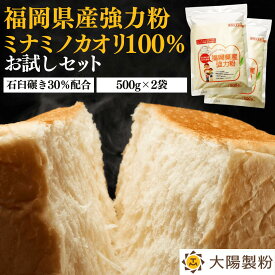 ＼1,000円ぽっきり／福岡県産ミナミノカオリ100％ 500g×2袋 大陽製粉 家庭用 小麦粉 強力粉 九州産 国産 国内産 パン用粉 強力粉 石臼 食パン バゲット ロールパン ピザ ベーグル 餃子 製パン ホームベーカリー チャック付き袋 送料無料 お買い物マラソン 買いまわり