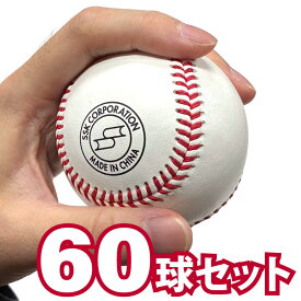 SSK エスエスケイ 硬式野球用 練習球 60球セット 5ダース 天然皮革 中国製 個包装なし 高校野球 GD89