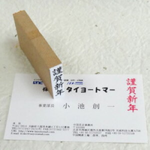 yhpzމVN^NꈥA SiIWijʃTCY10×30mmyӁESEX^vʔ́zp
