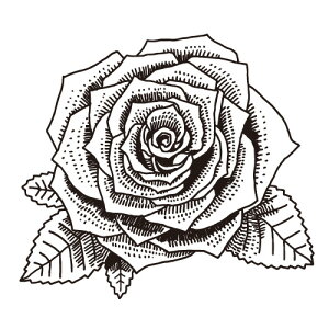 KN 蒠̋L^Ntgo[X^v }^RT25a-033 GTCYF32×29mm S 蒠 L^  ͂ nR 킢 X^v |Cg 蒠 莆 obgW[i  C