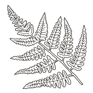 V_ 蒠̋L^Ntgo[X^v }^RT25a-035 GTCYF32×29mm S 蒠 L^  ͂ nR 킢 X^v |Cg 蒠 莆 obgW[i  C