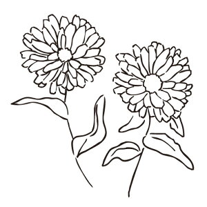 蒠̋L^Ntgo[X^v }^RT25a-038 GTCYF32×29mm S 蒠 L^  ͂ nR 킢 X^v |Cg 蒠 莆 obgW[i  CX