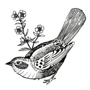 蒠̋L^Ntgo[X^v }^RT25a-049 GTCYF32×29mm S 蒠 L^  ͂ nR 킢 X^v |Cg 蒠 莆 obgW[i  CX