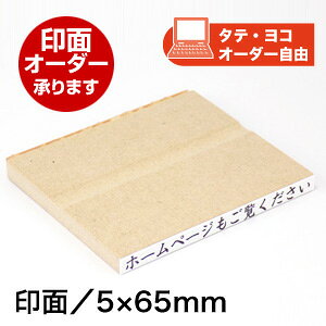 SʃTCYF5×65mmI[_[ X^v S s IWi ͂ECO SiIWij