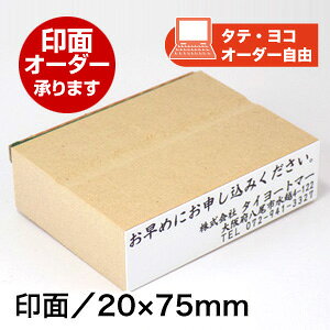 ECO SiIWijʃTCYF20×75mmI[_[ IWi X^v I[_[Ch SS q ͂ Z Д Ј Z `[  ֗