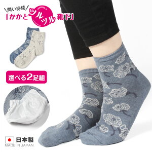 yNEWzyzjbg ƃccC ȍ z(ԕ) Iׂ2gƃN[炸̊ȒPƃPAƌC p ƃPA Ƃ ƌC pPA ێ 