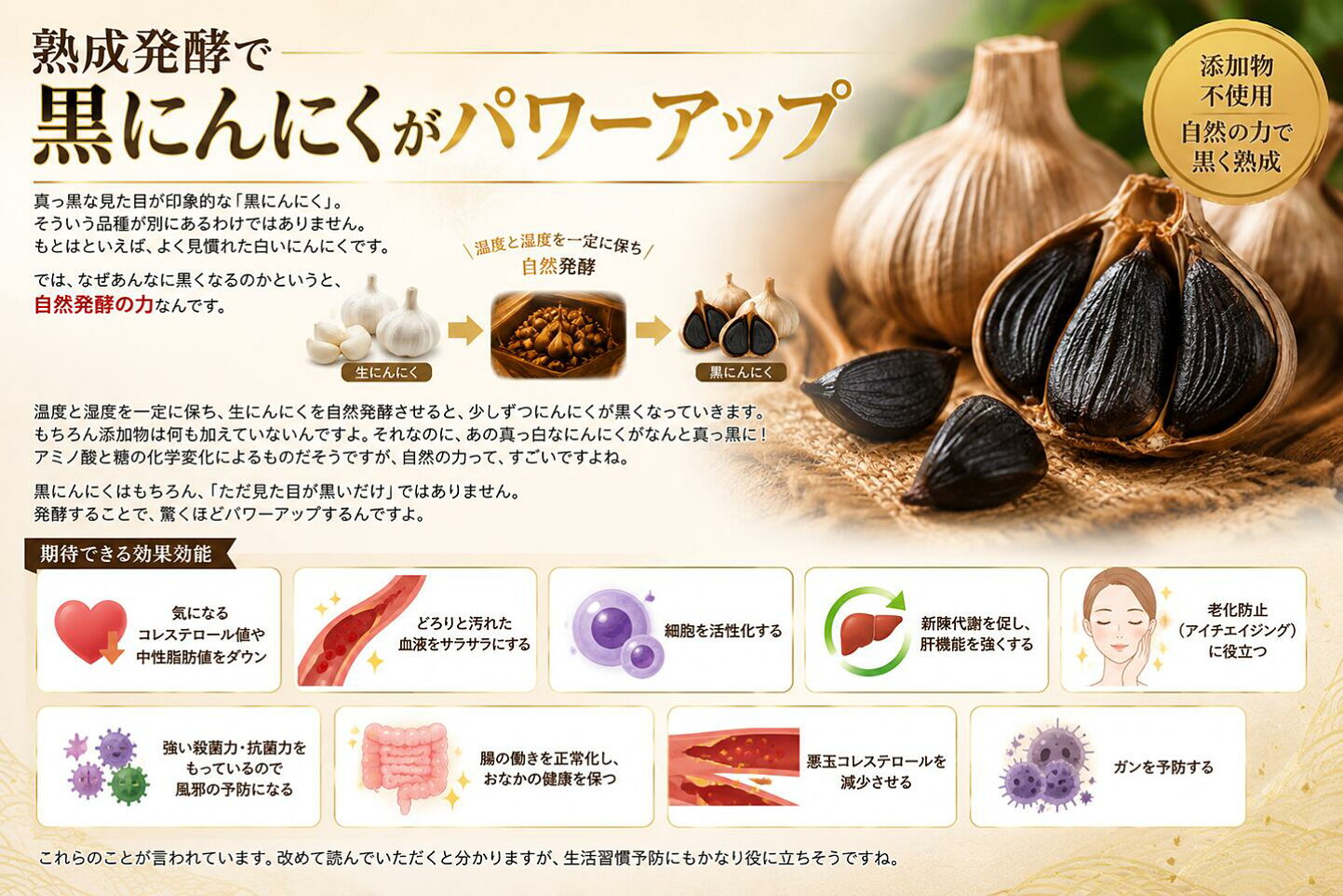 黒 にんにく 効能