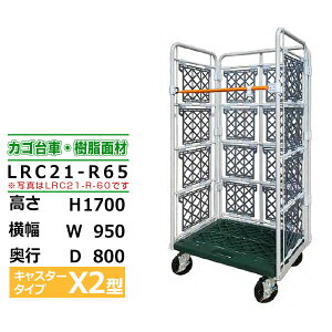 �J�S��� �R���r�e�i�[ �����ʍ� ������ LRC21-R65 �L���X�^�[�FX2�^H170cm×W95cm×D80cm �A�C�{���[�J�S�� ���[���{�b�N�X�p���b�g �{�b�N�X�p���b�g �R���e�i �H�� �q�� �^�� �Ɩ��p�y�ԏ�n���i 