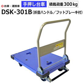 【クーポンあり】台車 手押し台車 DSK-301B（折畳ハンドル/フットブレーキ）　耐荷重300kg/サイレントマスター ナンシン 運搬車 園芸 DIY 折りたたみ 運搬 倉庫 工具 物流機器 キャリー ナンシン 業務用 【返品不可　個人宅配送不可】