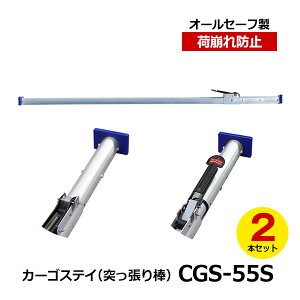 yN[|zallsafe@J[SXeCi˂_j CGS-55S 2{Zbg@I[Z[tgbNpi pi gbNp ˂_ J[So[ J[SXeC וh~ gbN  