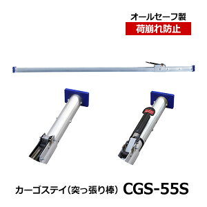 yN[|zallsafe@J[SXeCi˂_j CGS-55S@I[Z[tgbNpi pi gbNp ˂_ J[So[ J[SXeC וh~ gbN  ב `Fb