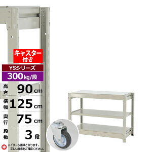 yN[|zX`[bN LX^[t 125 s75 90 3i zCgO[ P̌` 300kg/i YSV[YƖp X`[I {gX ʒI bN I [I [bNI[