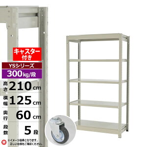 yN[|zX`[bN LX^[t 125 s60 210 5i zCgO[ P̌` 300kg/i YSV[YƖp X`[I {gX ʒI bN I [I [bNI[