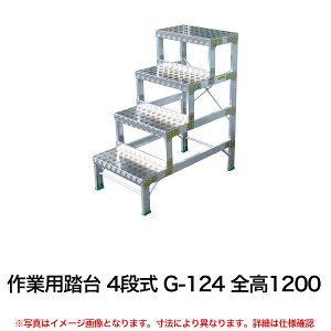 yN[|zƗp 4i G-124 S1200 y ԏni ԕiszylzsz
