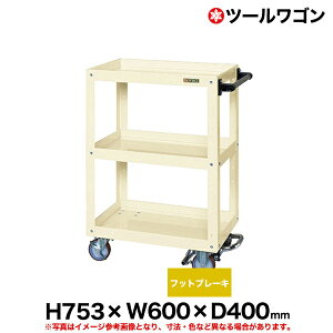 yN[|zc[S tbgu[LtiCE^ԗ 75.3cm 60cm s40cm ω׏d150kg AC{[ SK-CSWA-607BRNUI y ԏni ԕiszylzsz