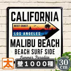 C A[gpl AJuLŔ 30e |X^[ JtHjAB T[X C r[` K[fjO K[f Ŕ v[g G Ǌ|  CeA G _ AJ