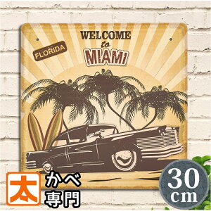 C A[gpl uLŔ 30k }CA~ A |X^[ G Ǌ| T[t{[h CeA G  t_ C CeA r[` T[tB V̖ K[W Ԍ ԏ G