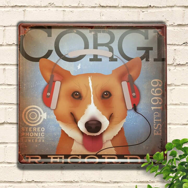楽天市場】ブリキ看板30 犬 コーギー レコード ポスター インテリア 