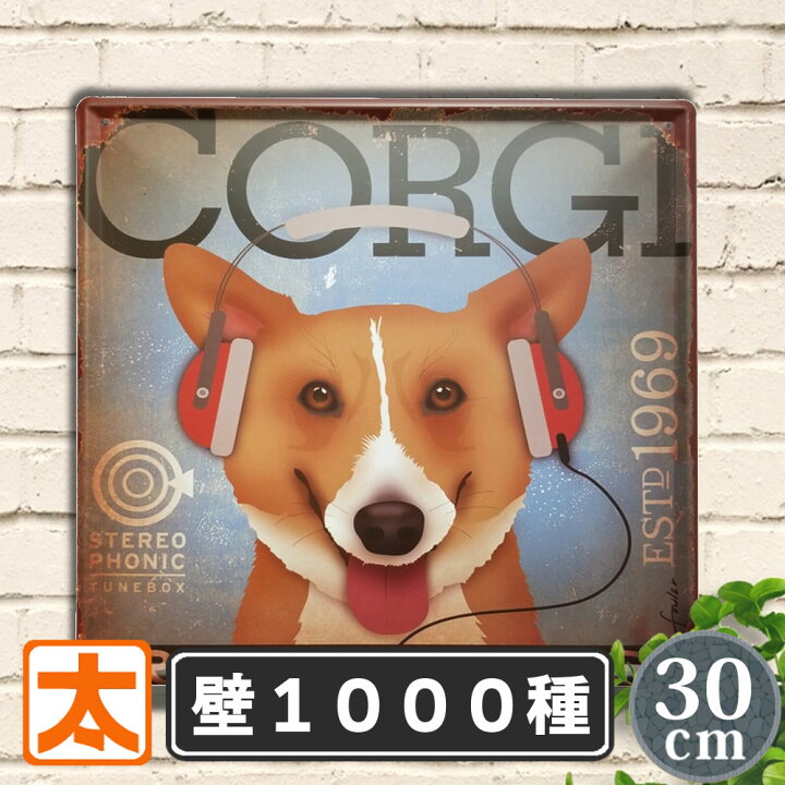 楽天市場】ブリキ看板 30 犬 コーギー レコード ポスター インテリア 