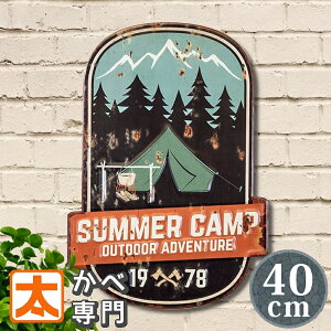 uLŔ h40e Lv sum |X^[ G CeAG A[gpl A[g{[h Ǌ| AJG v[g CXg G  _ 40cm