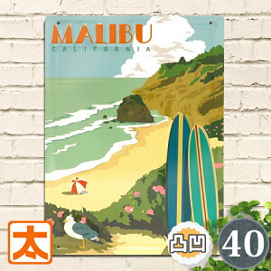 �u���L�Ŕ� 40e �}���u�r�[�` �J���t�H���j�A �C �|�X�^�[ �G �Ǌ|�� �C���e���A�G�� �A�[�g�p�l�� �J���t�H���j�A�X�^�C�� �T�[�t�B�� surf ���i�� ������� ���_�� ���g���G�� �A�����J���G