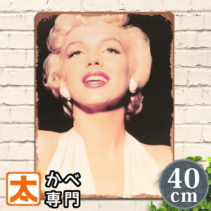 ZNV[K[ G uLŔ ma |X^[ Ǌ| CeAG A[g{[h A[gpl AJG v[g ZNV[K[ CXg G  40cm A3 傫 ^ AJ