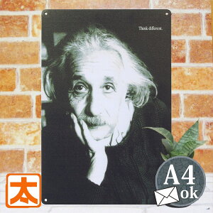 uLŔk ACV^C |X^[ G ё w Ȋw m[x ̐l ϐl j̐l Ǌ| G ObY  jOCeA G v[g  _ AeB