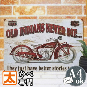 AJG Ŕ uLŔ oCN CfBAgTCN ne ԐF |X^[ G Ǌ| CeAG I[goC AJoCN G bh K[W Ԍ AJG v