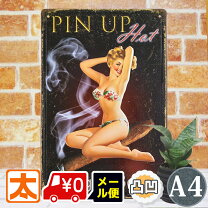 楽天市場】ブリキ看板 セクシーの通販