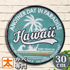 T[tB A[g uLŔ e30e nC ss C F CeA  |X^[ G Ǌ| nCG nCAG A[gpl nC Hawaii V̖ CXg G AJG v