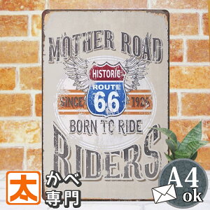 uLŔ k [g66 rid |X^[ G CeAG A[gpl A[g{[h Ǌ| AJG v[g CXg G  _ 30cm A4