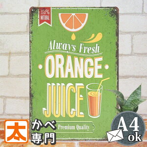 IWW[X A[gpl uLŔk ʏ`100W[X ݂ JtFCeA |X^[ BAR hN W[X TC{[h TCv[g G Ǌ|  AJ