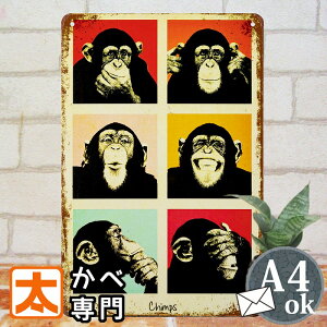 |X^[ 킢 uLŔ k  L[ 6 G POP Ǌ| CeAG A[gpl Jt T monkey `pW[  |bvA[g 長錾킴 CXg G A