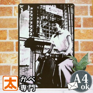 �u���L�Ŕ� k �I�[�h���[�w�b�v�o�[�� ���[�}�̋x�� �o�C�N �f��|�X�^�[ �G �ʐ^ �C���e���A�G�� �A�[�g�p�l�� �I�[�h���[�E�w�b�v�o�[�� �I�[�h���[�E�w�v�o�[�� �I�[�g�o�C �X�N�[�^�[ 