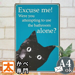 uLŔ k L ˂ ex |X^[ G Ǌ| CeAG A[gpl LG݃CeA LG CeA lR CXg ObY G AJG v[g D v[g 