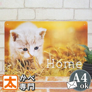 L Ŕ A[gpl uLŔ g lR ObY AeB[N gL ˂ L |X^[ CeAG CXg K[fjO K[f ACA v[g G ObY ǖ u G