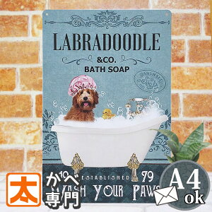 uLŔ  uh[go[ oX^C uh[ G ObY `R[g C oX^u |X^[ uh[g[o[ G CeAG A[gpl A[g{