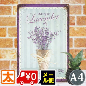 uLŔ k x_[ |X^[ G CeA G ObY  A A[gpl A[g{[h Ǌ| AJG v[g CXg G  _ AeB[N 30cm A4